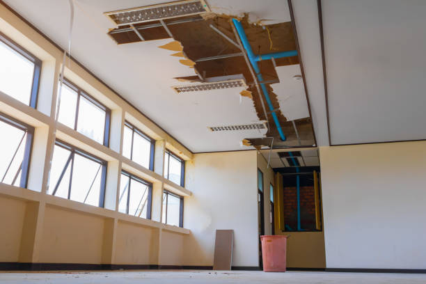 Best Water damage restoration company  in Luverne, AL
