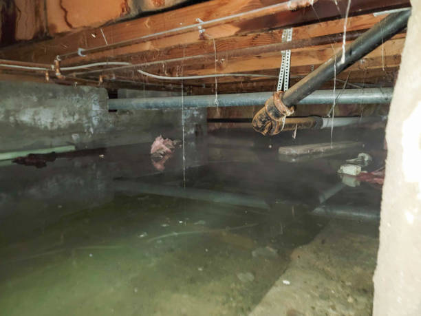 Best Flooded house restoration  in Luverne, AL