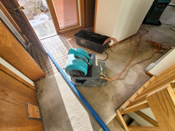 Best Sewage cleanup and water damage restoration  in Luverne, AL