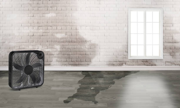 Best Residential water damage restoration  in Luverne, AL