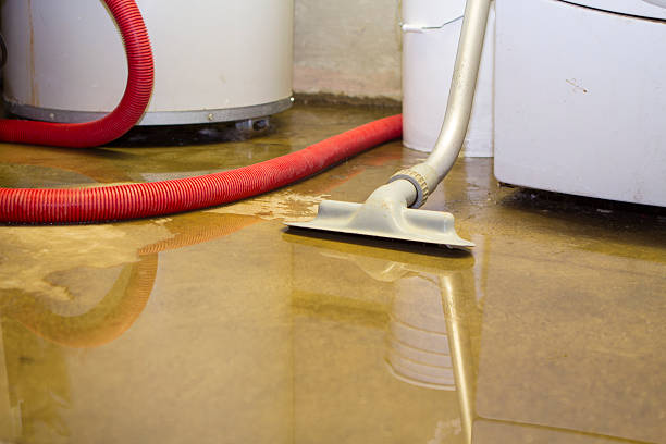 Best Ceiling water damage repair  in Luverne, AL