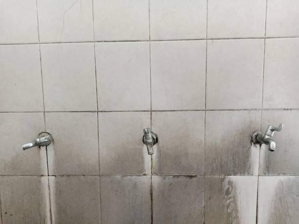Best Professional water damage repair  in Luverne, AL