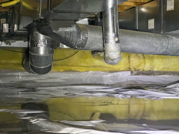 Best Water damage restoration near me  in Luverne, AL