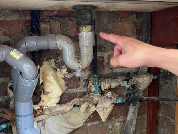 Best Water damage cleanup near me  in Luverne, AL