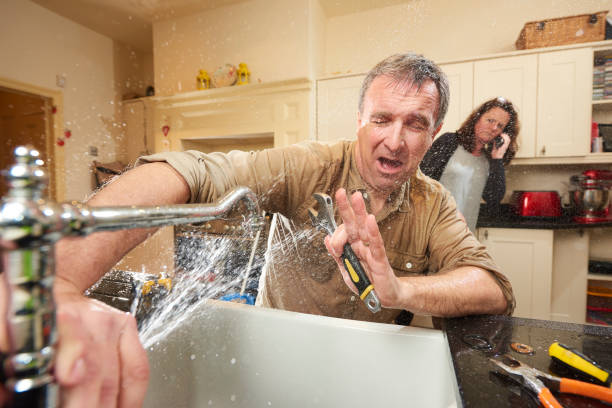 Best Water damage contractors near me  in Luverne, AL